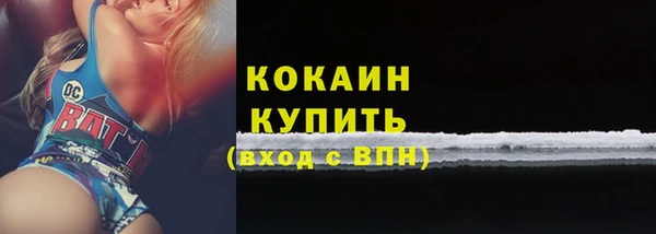 ешки Аркадак