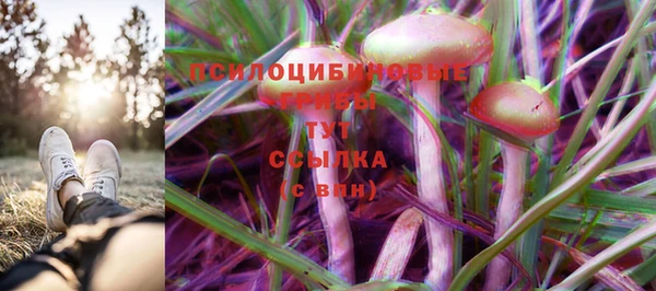 ешки Аркадак