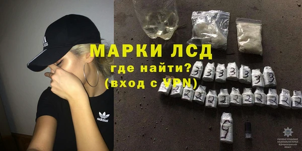 ешки Аркадак
